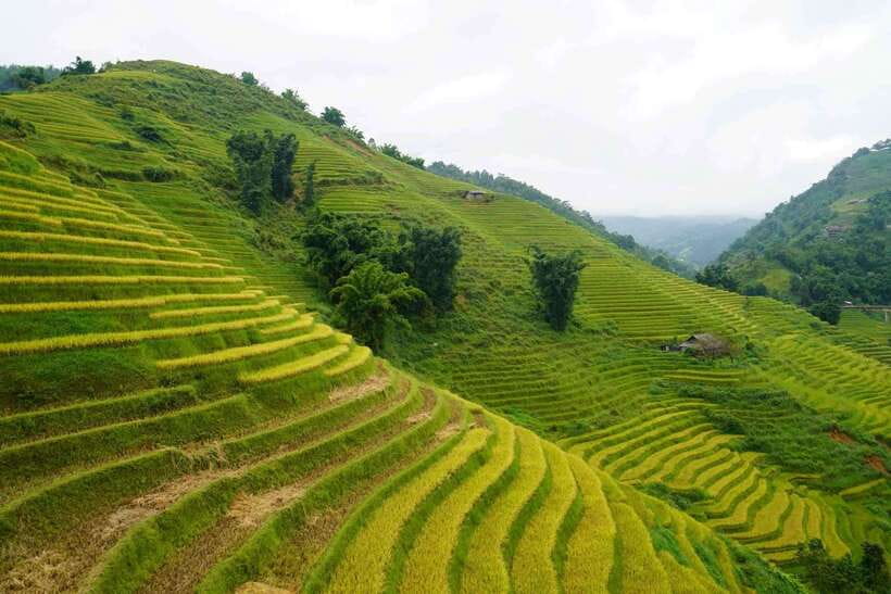 Half Day Sapa Trekking to Visit Lao Chai - Ta Van - Y Linh Ho: the walk begins in the valley
