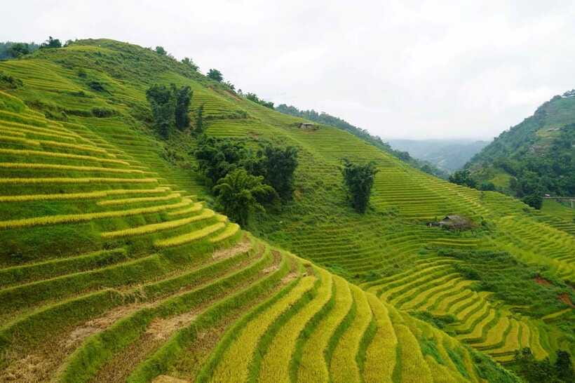 Half Day Sapa Trekking to Visit Lao Chai - Ta Van - Lao Chai and the Black Hmong setting