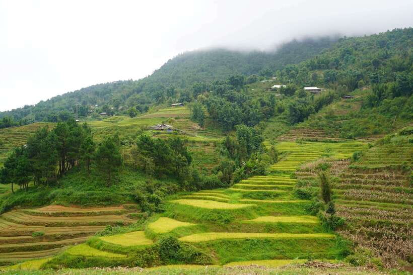 Half Day Sapa Trekking to Visit Lao Chai - Ta Van - The awkward part: souvenir sellers on the path