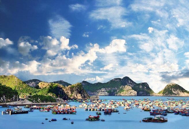 Halong Bay 2D1N BEST CRUISES All-Inclusive: Transfer, Meals, Kayak, Cave, Island - Key points at a glance