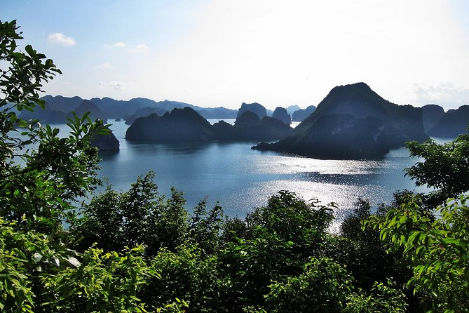 Halong Bay Cruise - Day Tours - Limestone towers, Dog Stone, and Burning Incense Islet