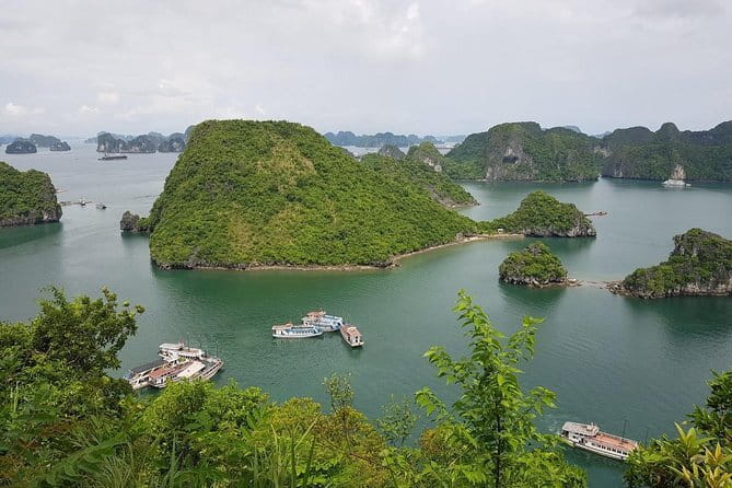 Halong Bay Shore Excursion: Full Day Cruise Tour from Cruise Port - What can go wrong, and how to make the day easier