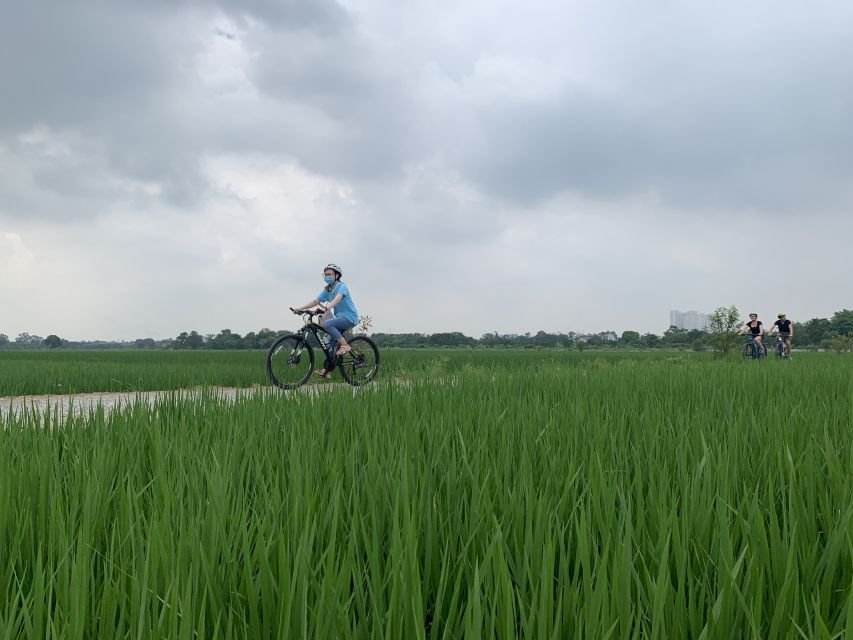 Hanoi: Bike Tour Through Hidden Gems and Banana Island - Food Stops: Bun Cha, Pho, and Banh Mi Chao