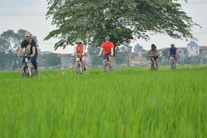 Hanoi Countryside By Bike & Local House and Food Tasting - Key points to know before you book