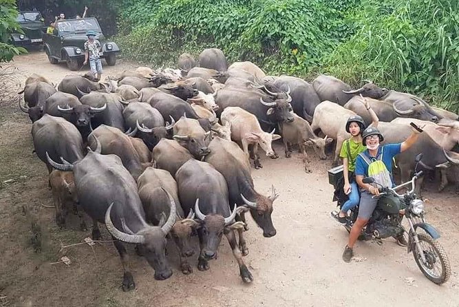Hanoi Countryside Motorbike Tour: Red River Culture & Daily Life - Key points to know before you book