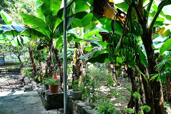 Hanoi Full Day A Private Tour With Mix of History and Activities - What the $160 price really buys