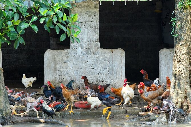 Hanoi Full Day A Private Tour With Mix of History and Activities - Who will enjoy this Hanoi day tour