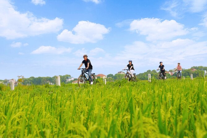 Hanoi Full Day A Private Tour With Mix of History and Activities - Vietnamese lunch at 12:30