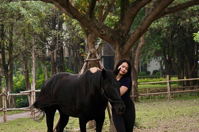 Hanoi Horseback Riding Club & Tours - Exclusive Experience - Timing, pickup, and group size