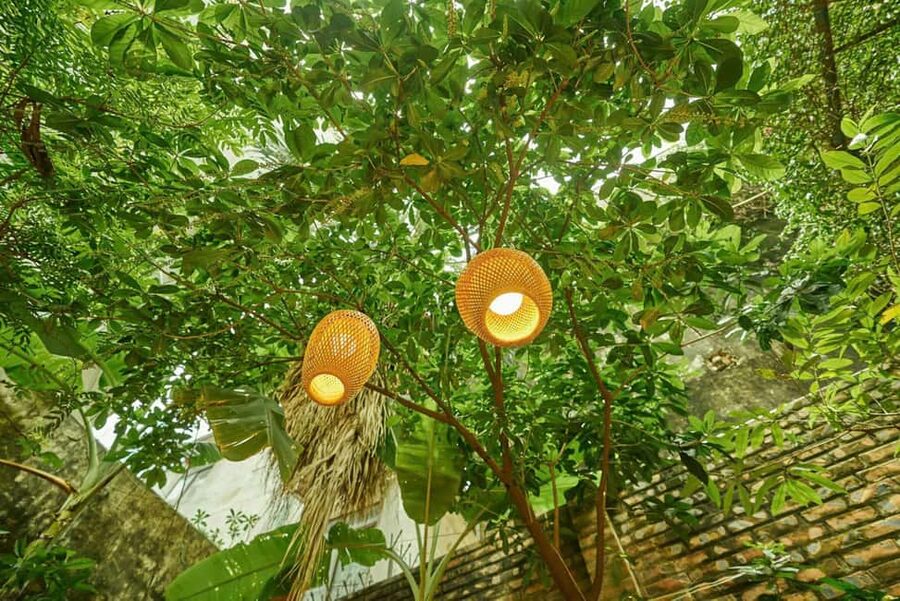 Hanoi: Rose Kitchen: Pho/Bun Cha/Nem+ Free Egg/ Salt Coffee - Arriving at the garden villa near Hoang Hoa Tham Street