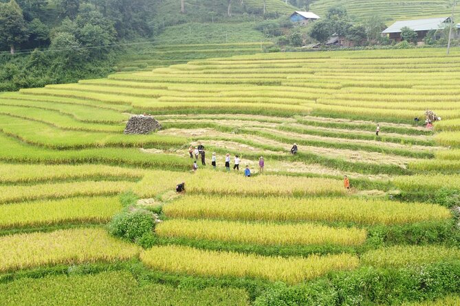 Hanoi - Sapa 2 Days 1 Night Overnight At Local Homestay - Y Linh Ho and the first village paths