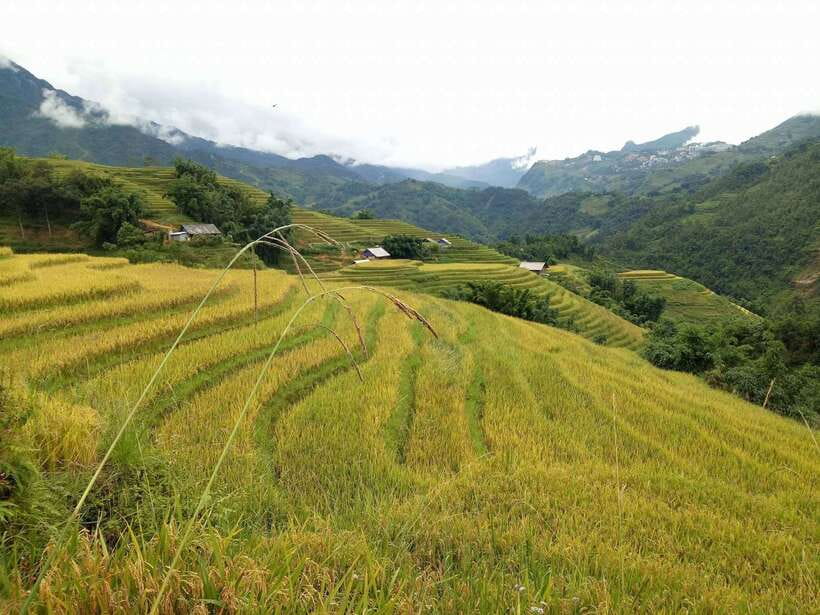 Hanoi- SaPa: 3-Day Homestay Trek to Explore Ethnic cultures - Day 3: Sunrise in Ban Ho and the walk to Nam Tong