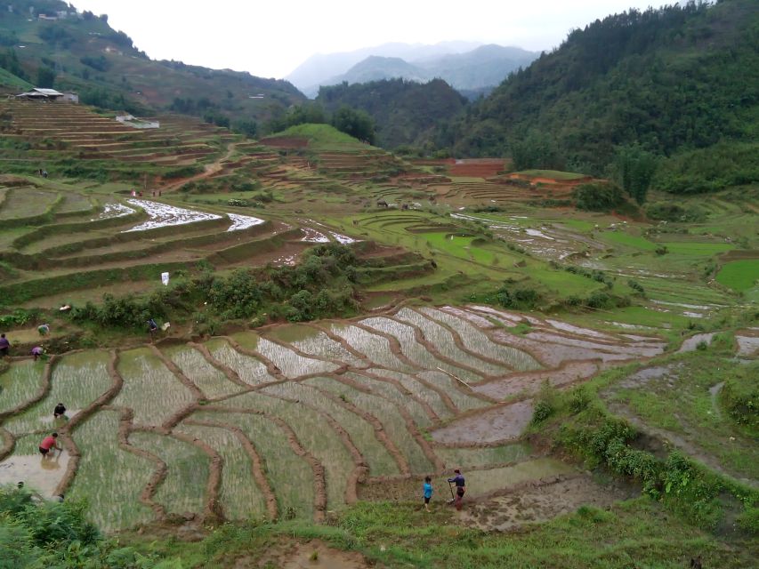 Hanoi- SaPa: 3-Day Homestay Trek to Explore Ethnic cultures - What the homestays are really like
