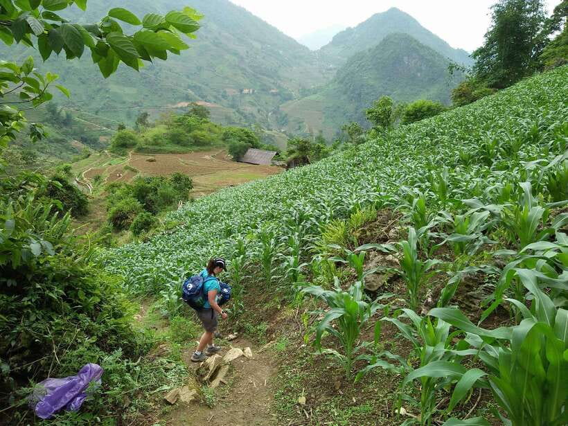 Hanoi- SaPa: 3-Day Homestay Trek to Explore Ethnic cultures - The guides can make or break the experience