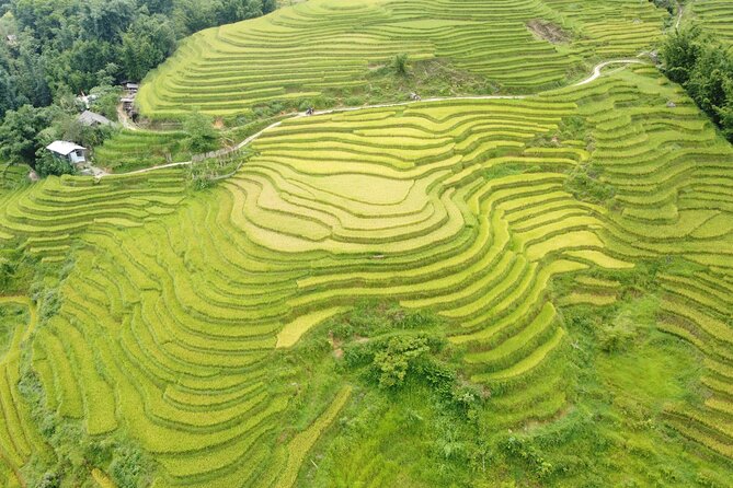 Hanoi - Sapa 3 Days - 2 Nights Trekking with With the locals - Hanoi to Sapa by VIP cabin bus