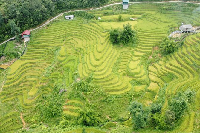 Hanoi - Sapa 3 Days - 2 Nights Trekking with With the locals - Y Linh Ho to Lao Chai through the Muong Hoa Valley