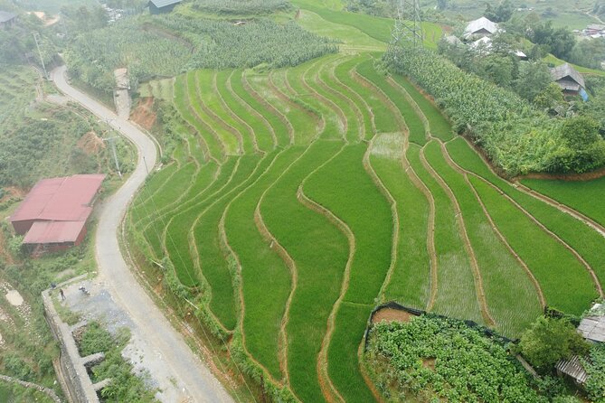 Hanoi - Sapa 3 Days - 2 Nights Trekking with With the locals - The fitness level, packing, and pace