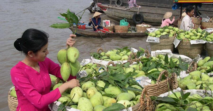 HCMC: Cai Rang Floating Market & Mekong Delta Private Tour - Cruising past the four islets