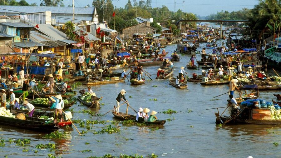 HCMC: Cai Rang Floating Market & Mekong Delta Private Tour - Honey tea, fruit, and village music