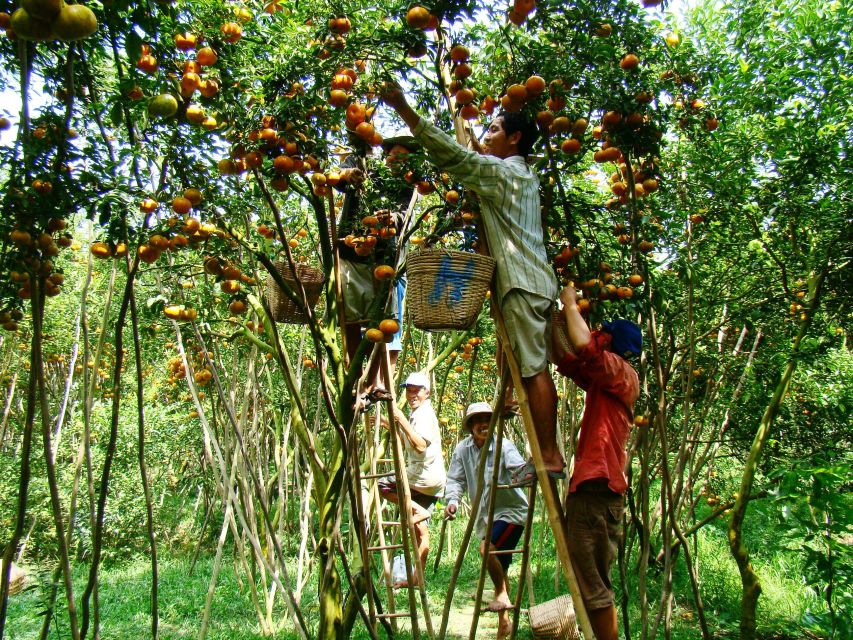 HCMC: Cai Rang Floating Market & Mekong Delta Private Tour - Who will enjoy this day most