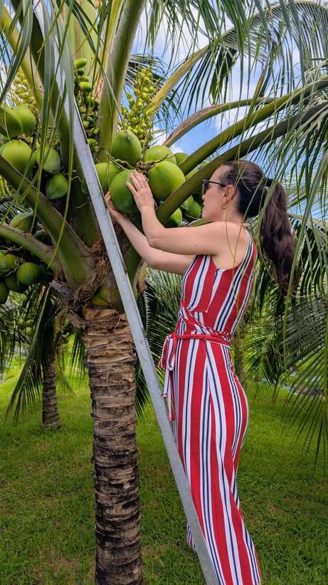 Ho Chi Minh: 1-Day Mekong Delta Tour-Floating Market & Islet - Son Islet and the floating fish farm