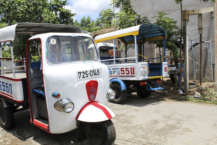 Ho Chi Minh City: Discover Mekong Delta & Coconut Village - Unicorn Islet, fruit, honey tea, and local music