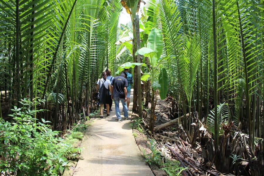 Ho Chi Minh City: Discover Mekong Delta & Coconut Village - My Tho and the first Mekong boat ride