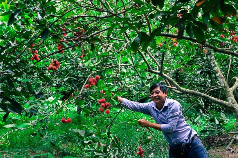 Ho Chi Minh City: Mekong Delta Tour with Sampan Journey - The return to Ho Chi Minh City