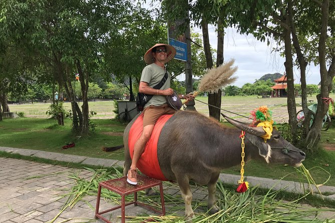 Hoa Lu - Mua Cave - Tam Coc/Trang An - DELUXE Small Group Tour - Mua Cave and the roughly 500-step climb