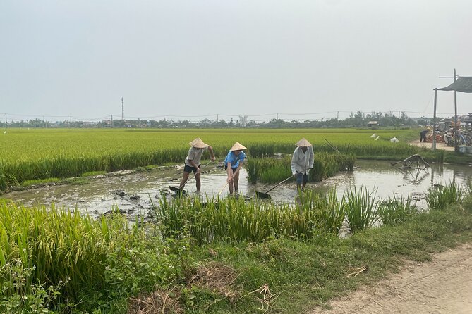 Hoi An Countryside Vespa Tour: Food, Culture & Daily Life - Rain, comfort, and safety on the Vespa