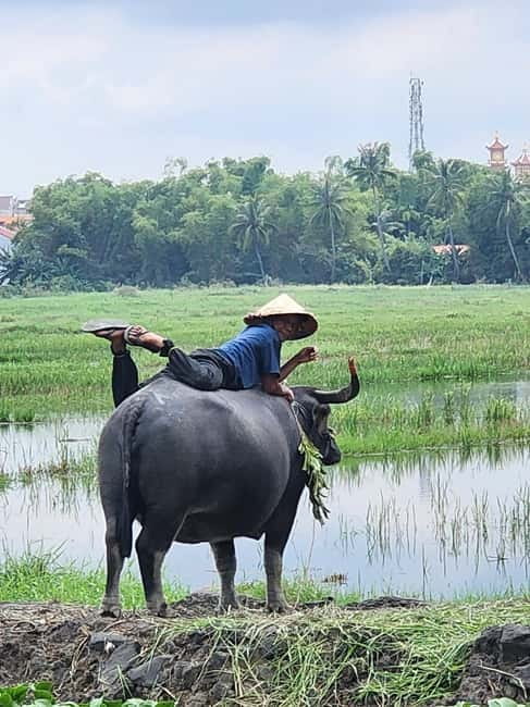 Hoi An: Countryside Villages and River Islands Private Tour - Why this tour gets you beyond Hoi An’s old town