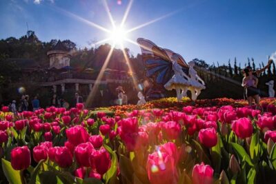 Ba Na Hills – Golden Bridge Deluxe Small group