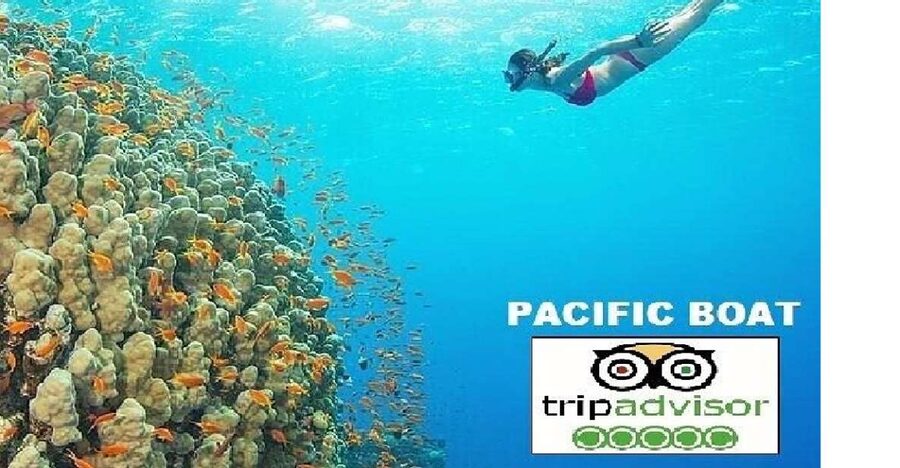 Hoi An/Da Nang: Snorkelling & Island-Hopping Speedboat Tour - Why the speedboat makes a difference