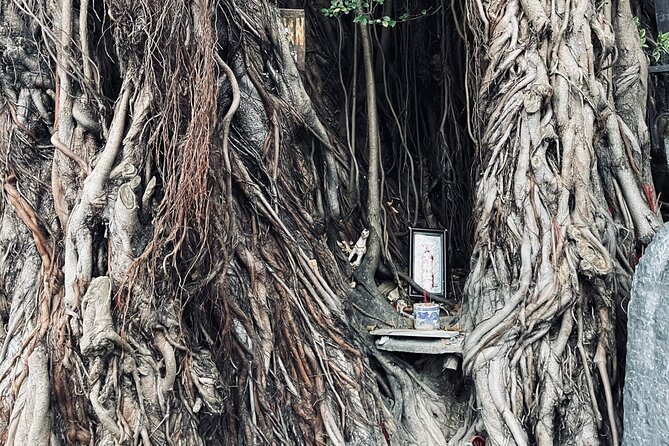 Hoi An Ghosts, Death, Mystery Unveiled - A grave in the heart of town