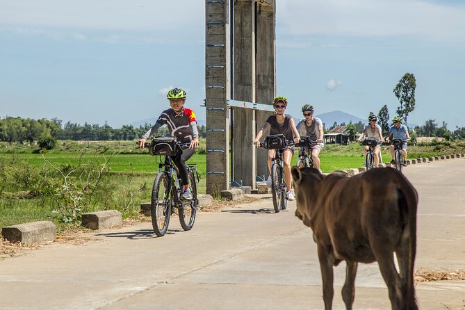 Hoi An: Morning Countryside Tour by Bike - Leaving Hoi An by Bicycle