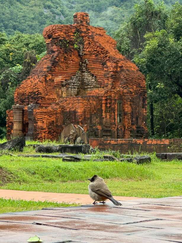 Hoi An: My Son Sanctuary Private Tour with Local Guide - Walking Through the Champa Temple Complex