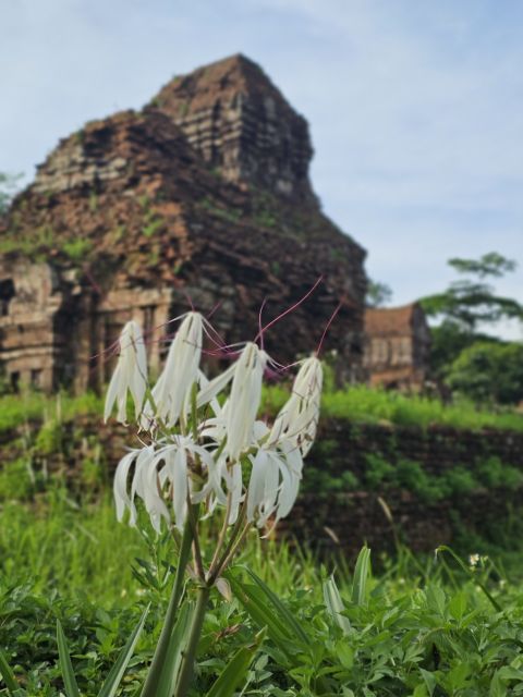 Hoi An: My Son Sanctuary & Sunset River Cruise BBQ or Banhmi - What the sunset cruise is really like