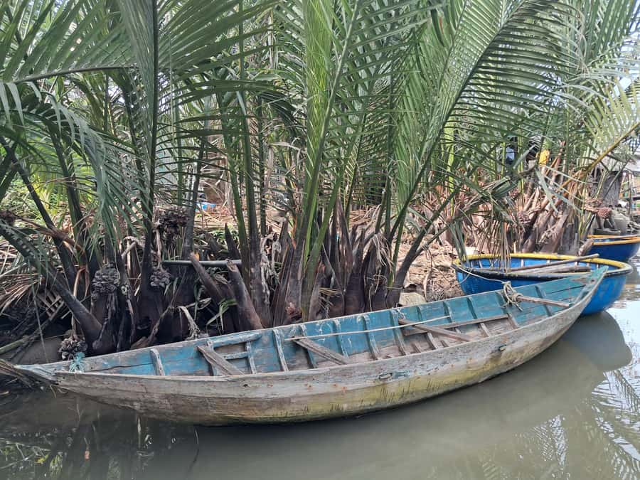 Hoi An: My Son Sanctuary with Basket Boat and Lunch Options - A boat ride along the Thu Bon River