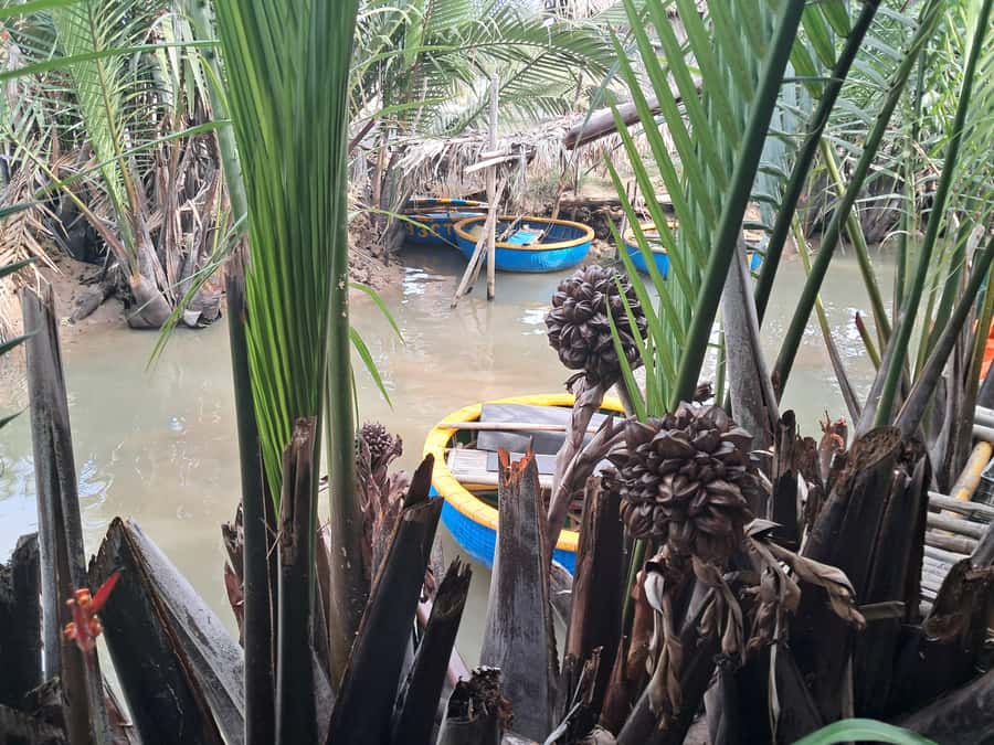 Hoi An: My Son Sanctuary with Basket Boat and Lunch Options - My verdict: choose the add-on carefully