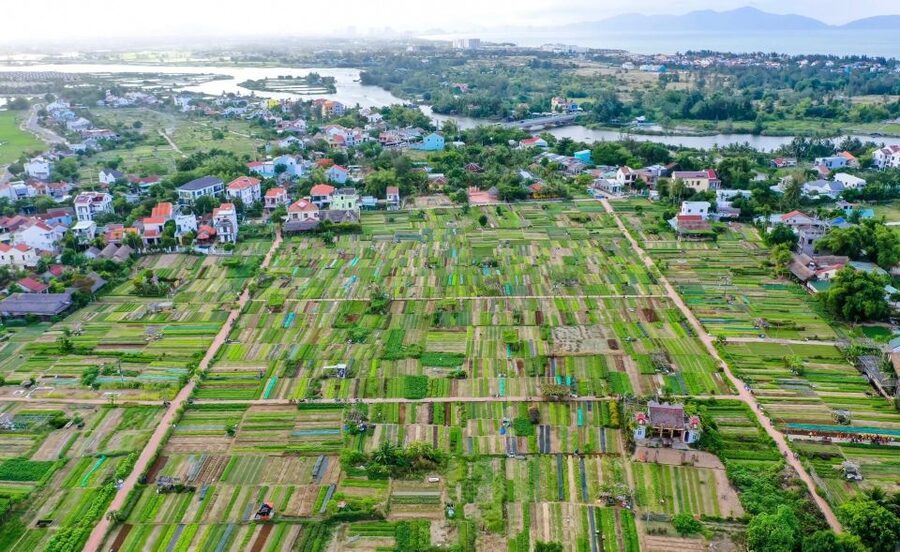 Hoi An: Rural Cycling Tour to Village with Basket Boat Ride - A local market and ordinary Hoi An life