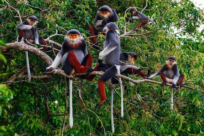 Hue to Dn/Hoi An: Hai Van Pass, beaches & Mt Monkey or vice versa - The drivers make or break the day