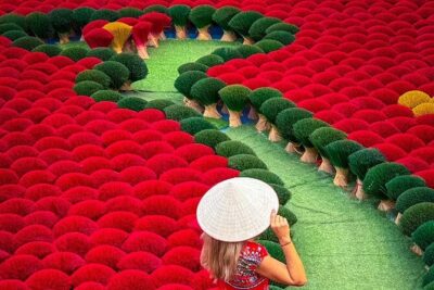 Incense Village Small Group of 9 Tour From Hanoi to Ninh Binh