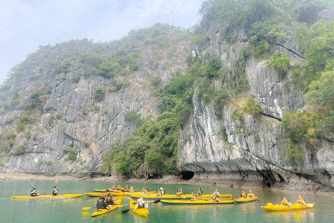 Lan Ha Bay day tour from Cat Ba, Hanoi - Serenity Boutique Cruise - Lunch with Cat Ba seafood at 12:30