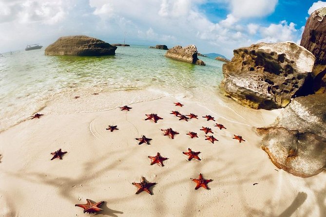 Land Tour 2: Discover the North - Kayaking & Starfish beach Phu Quoc (Not Lunch) - A full northern Phu Quoc day for $44