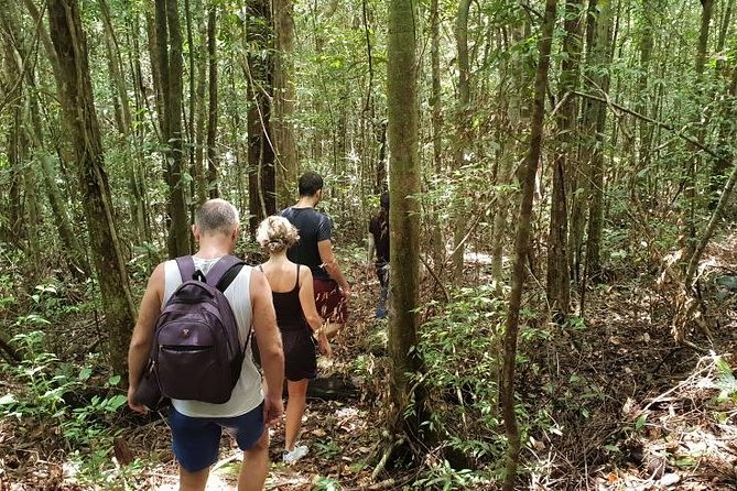 Land Tour 2: Discover the North - Kayaking & Starfish beach Phu Quoc (Not Lunch) - Starfish Beach: beautiful, but handle it carefully