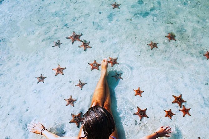 Land Tour 2: Discover the North - Kayaking & Starfish beach Phu Quoc (Not Lunch) - Roads, timing, and comfort