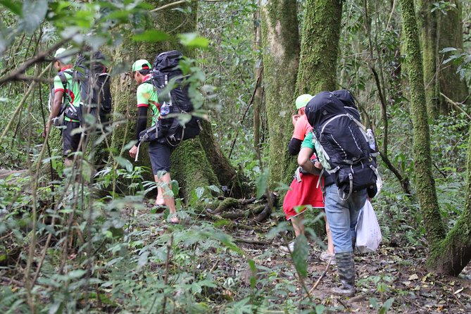 Langbiang Green Trekking Tours - Signature Trekking Da Lat - A picnic lunch with a useful break