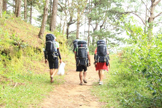 Langbiang Green Trekking Tours - Signature Trekking Da Lat - The climb toward Radar Peak at 2,167 meters