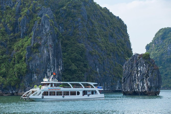 Luxury Halong Bay 1 Day on Cruises From Hanoi with Bus & Lunch - Lunch with Vietnamese dishes and seafood