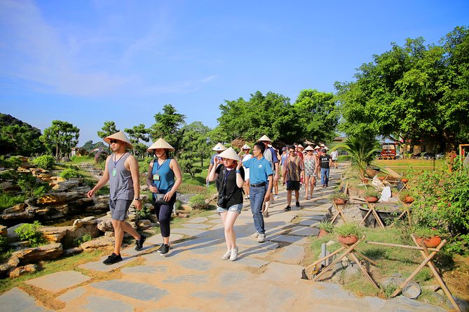 Luxury Hoa Lu Tam Coc Mua Cave 1 Day With Limousine Bus And Lunch - The guides can shape the whole day